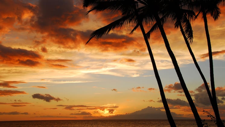 1 Year Post Wildfires: Does Maui Remain a Viable Vacation Destination?