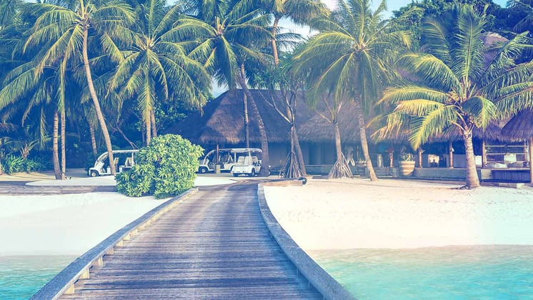 Live in 2024: America's Favorite Travel and Adventure Show