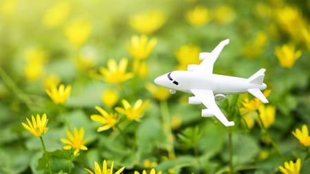 Why Consider Sustainable Travel in 2025 and Beyond?